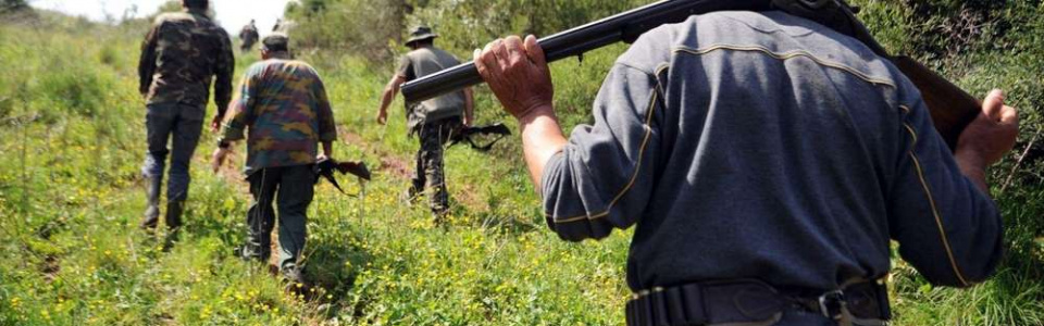 Commune de Ham-sur-Heure-Nalinnes | MISE A JOUR ! Interdiction de circuler en forêt : dates des battues janvier-février 2019